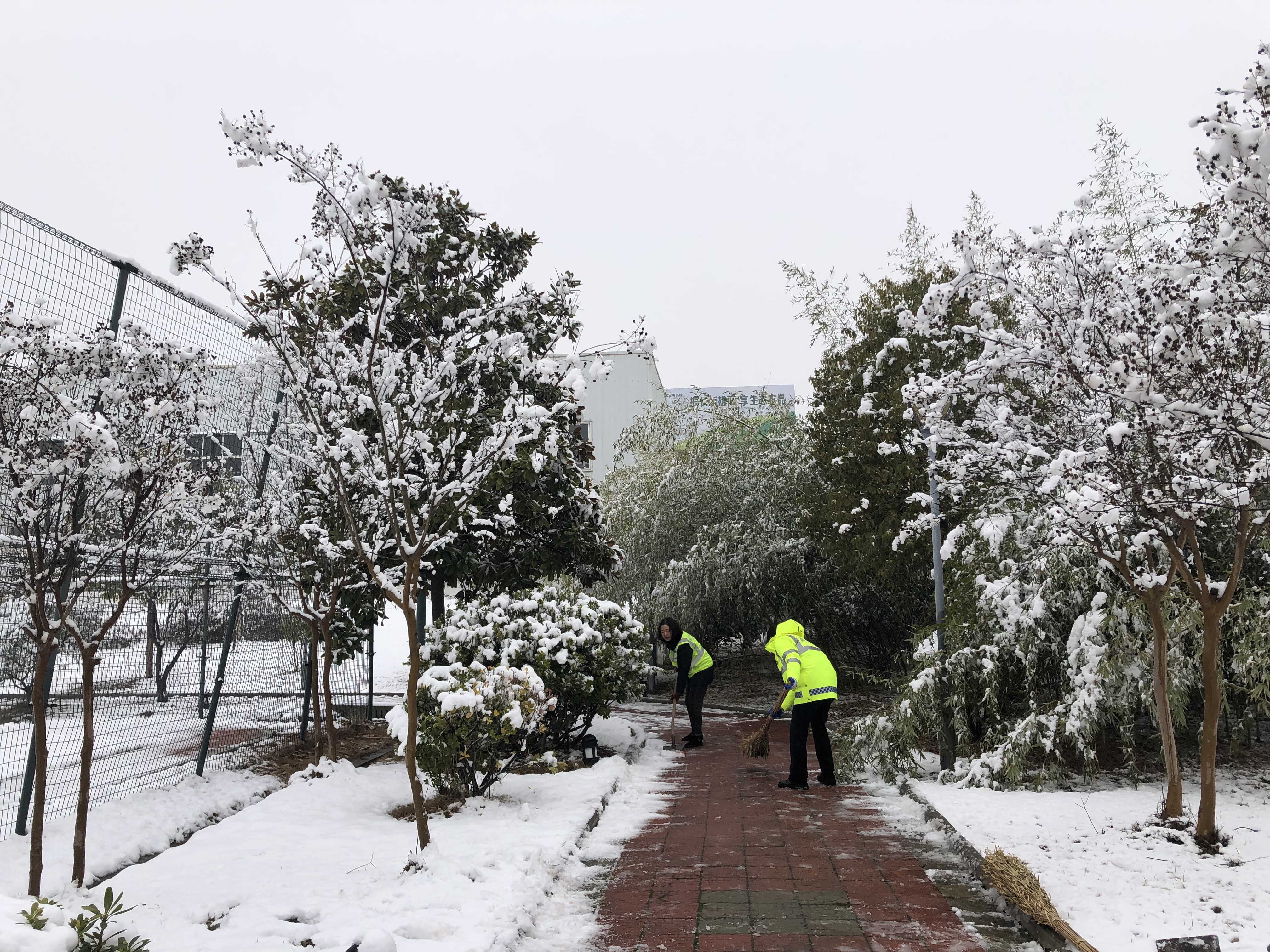 协助扫雪.png 协助扫雪.png