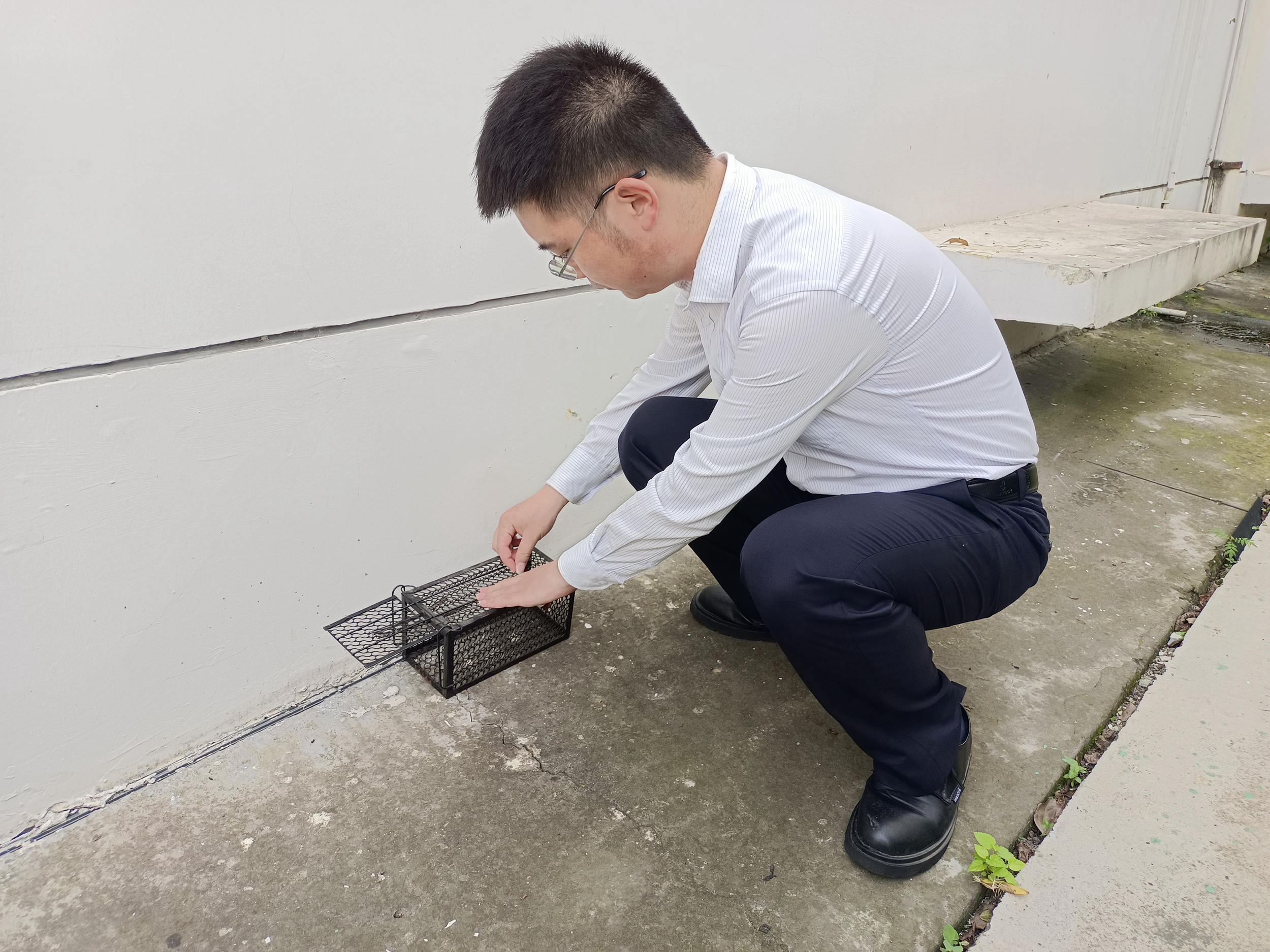 放置捕鼠笼.png 放置捕鼠笼.png