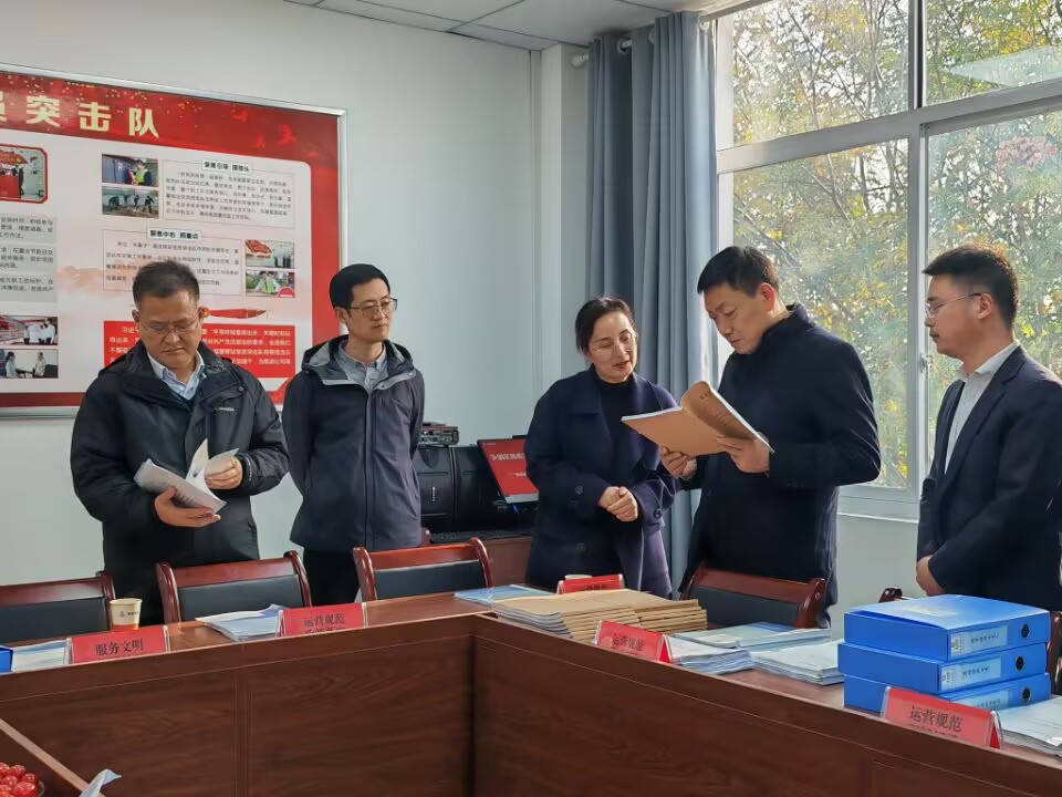 领导视查荆门南.jpg