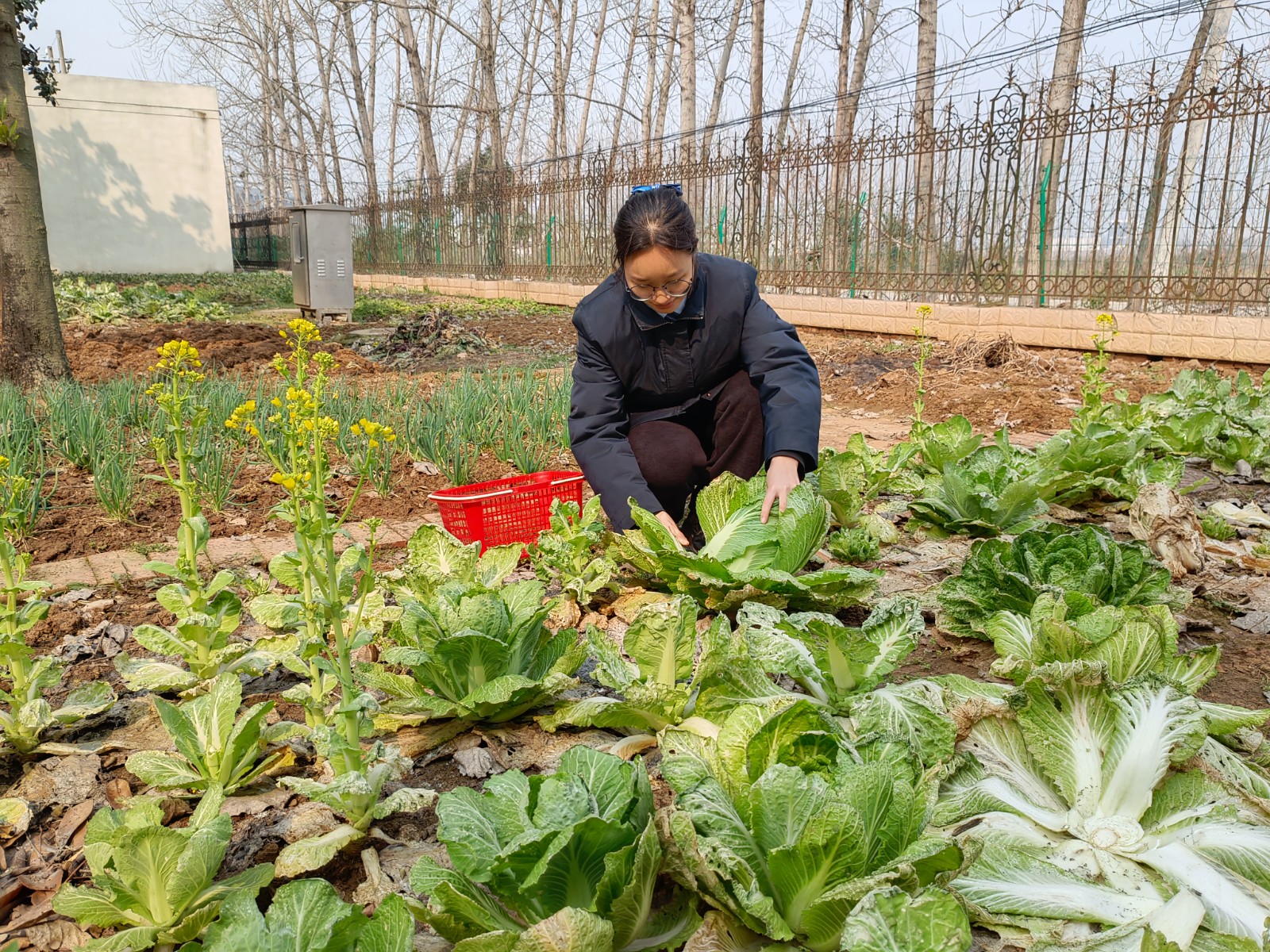 “ctrl+A”全选里面菜园建设.jpg “ctrl+A”全选里面菜园建设.jpg