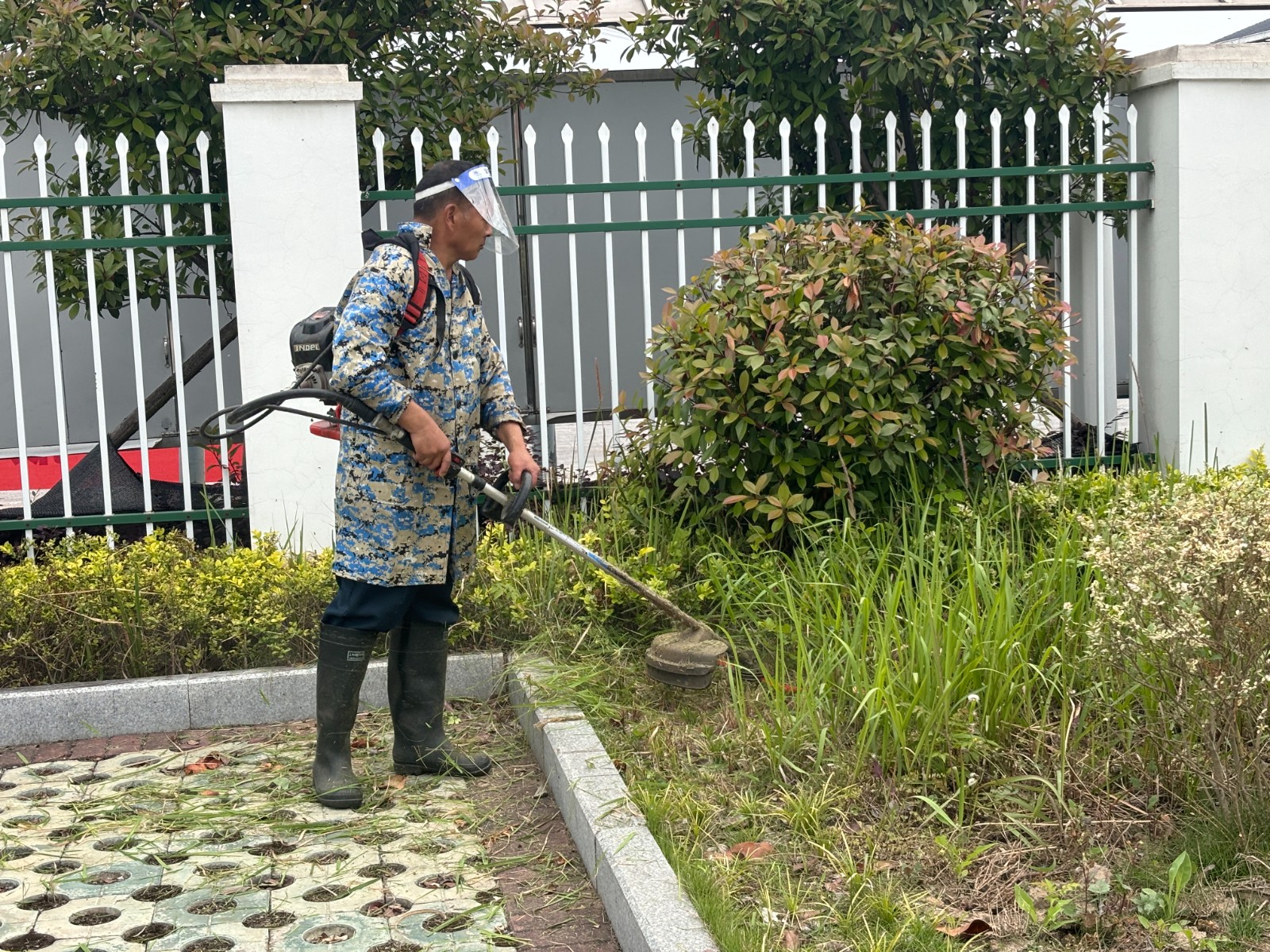 美化院内环境1.jpg 美化院内环境1.jpg