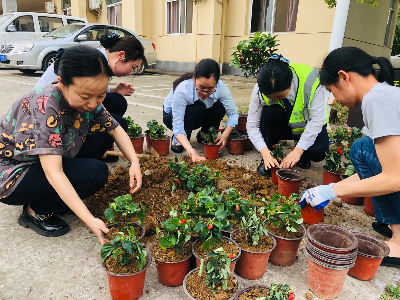 双莲所栽花种草.jpg 双莲所栽花种草.jpg