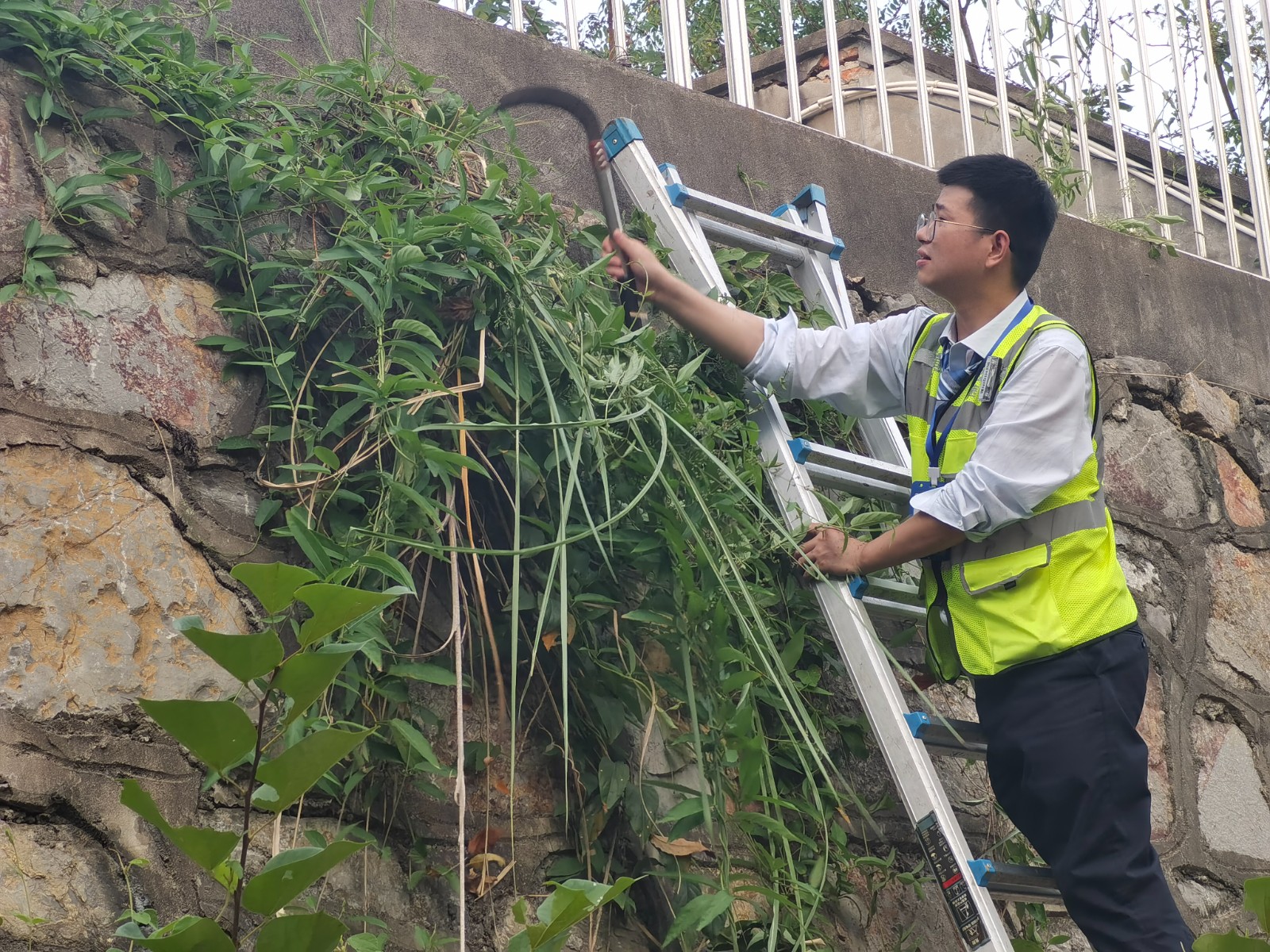 新员工周兴璞.jpg 新员工周兴璞.jpg