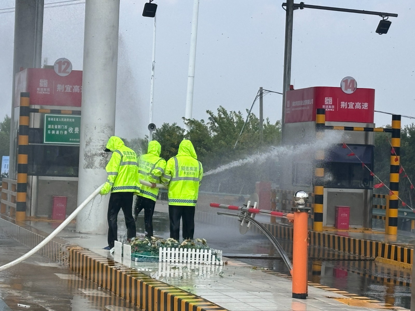 对蜜蜂进行高压水冲.jpg